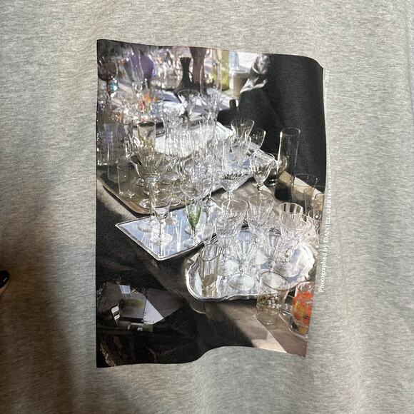 Helmut Lang Men's Vienna Photo Gray Postcard Graphic Short Sleeve Tee Size XXL - Picture 4 of 12